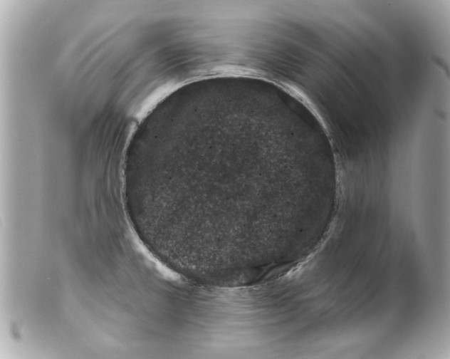 X0000099301381200805301124