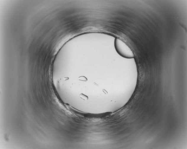 X0000099301382200805301124