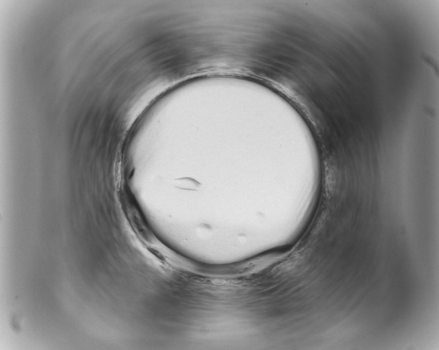 X0000099301383200805301124