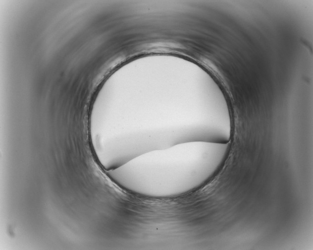 X0000099301384200805301124