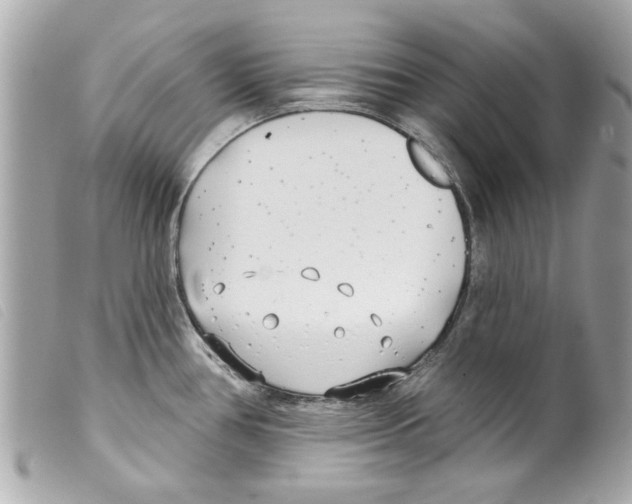 X0000099301386200805301124