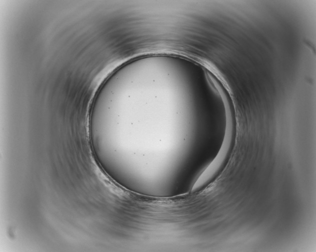 X0000099301388200805301124