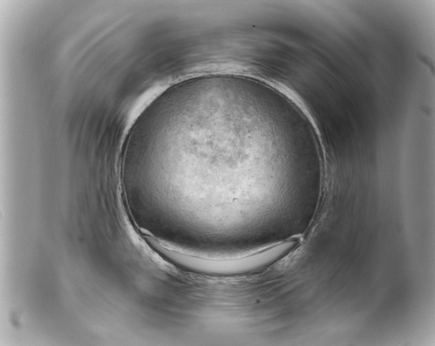 X0000099301389200805301124