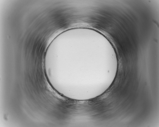 X0000099301390200805301124