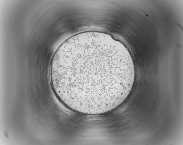 X0000099301391200805301124