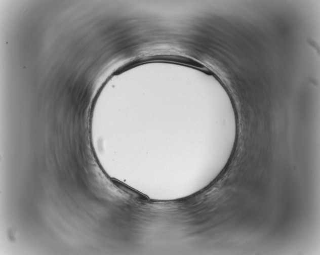 X0000099301392200805301124