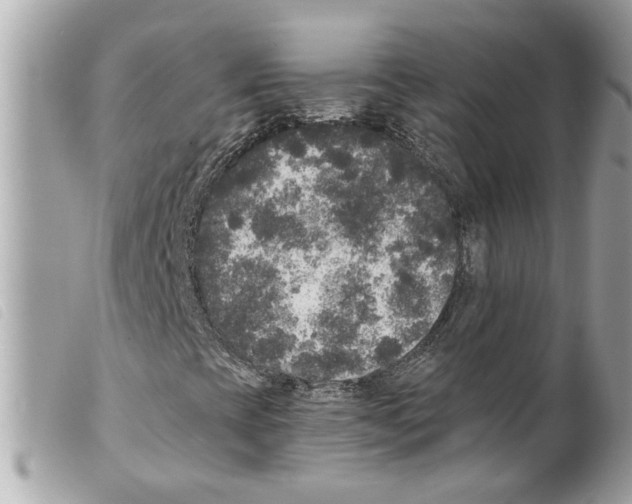 X0000099301393200805301123