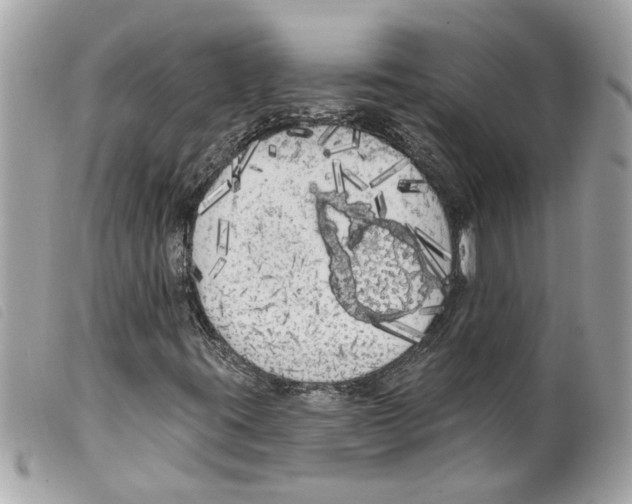 X0000099301395200805301123