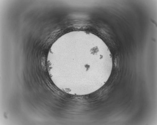 X0000099301396200805301123