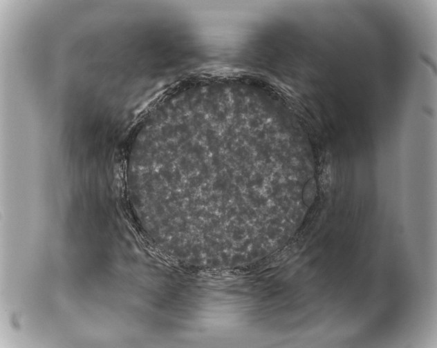 X0000099301397200805301123