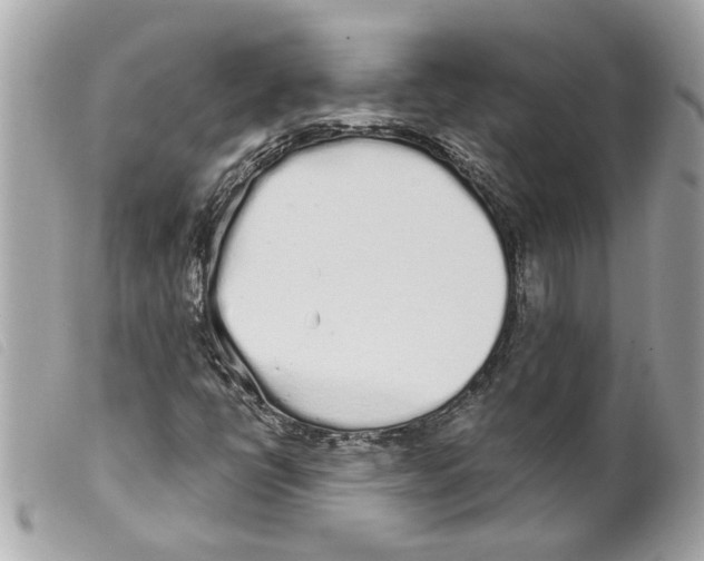 X0000099301398200805301123