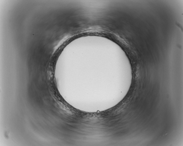 X0000099301400200805301123