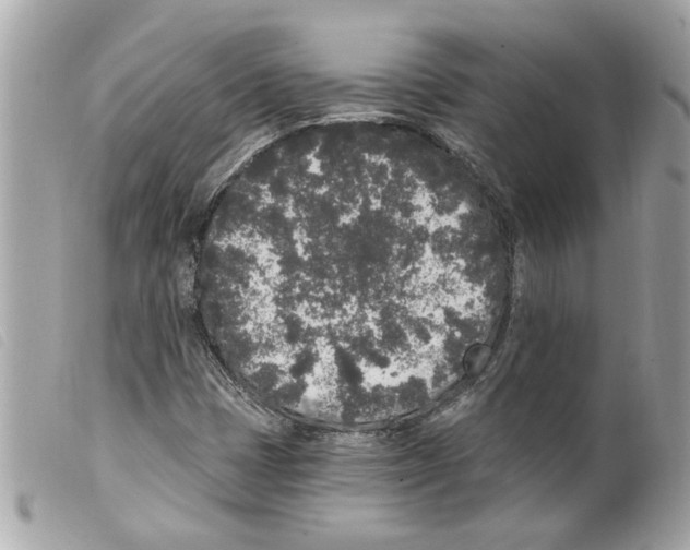 X0000099301401200805301123