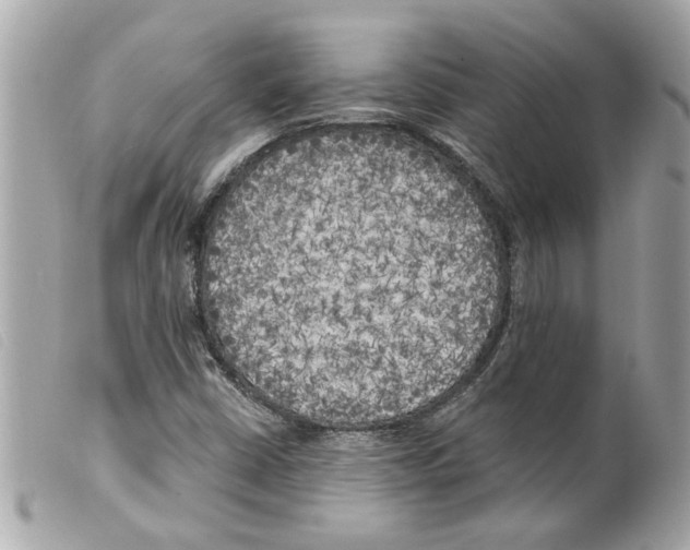 X0000099301402200805301123