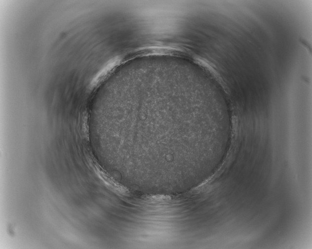 X0000099301403200805301123