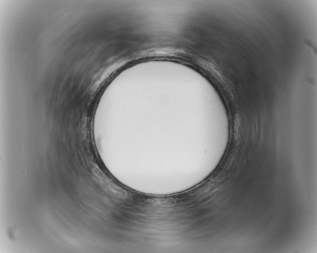 X0000099301404200805301123