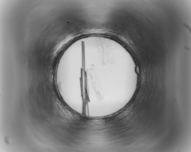 X0000099301406200805301123