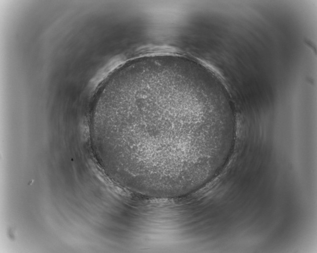 X0000099301407200805301123