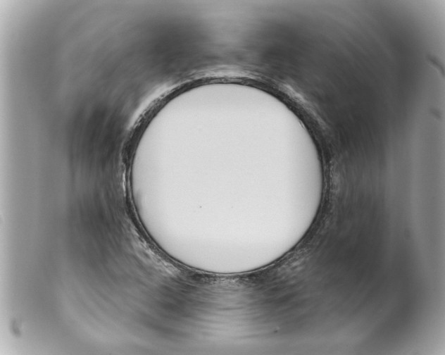 X0000099301408200805301123