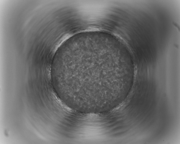 X0000099301409200805301123