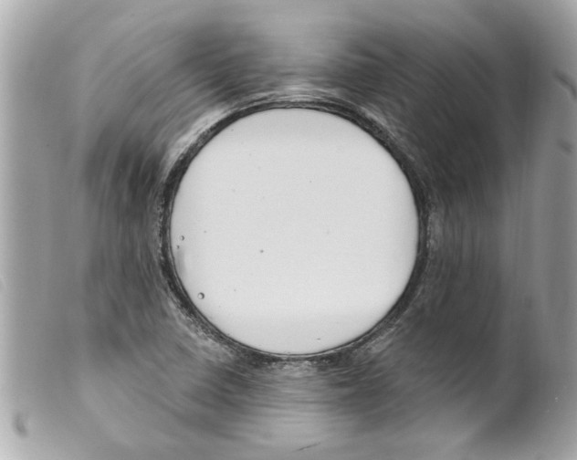 X0000099301410200805301123