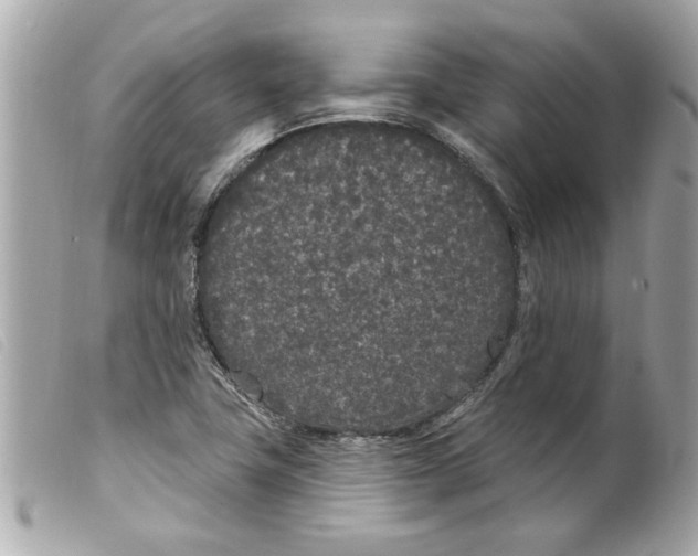 X0000099301411200805301123