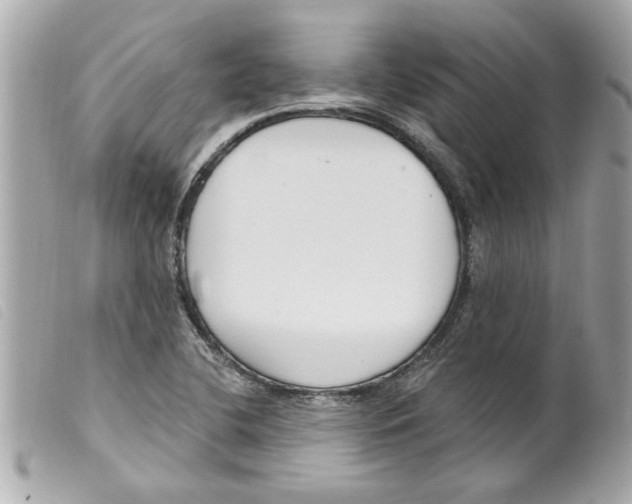 X0000099301412200805301123