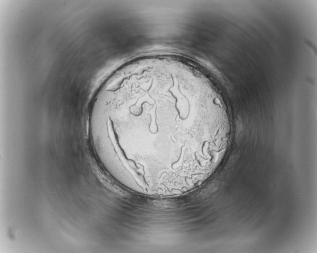 X0000099301413200805301123