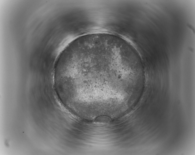 X0000099301415200805301123