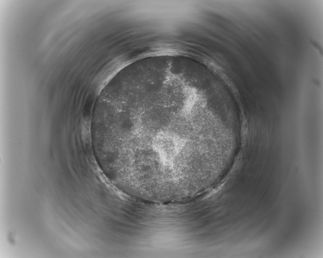 X0000099301417200805301124