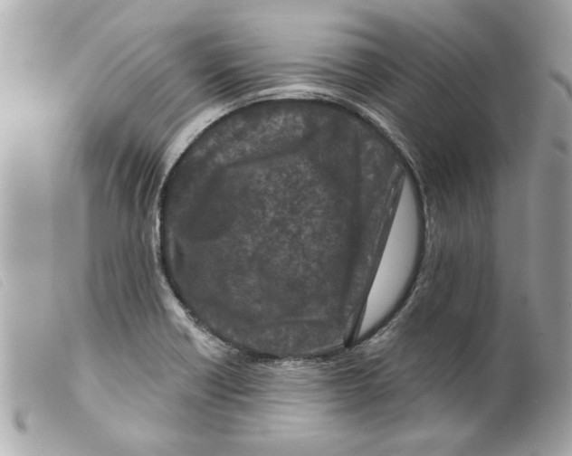 X0000099301418200805301124