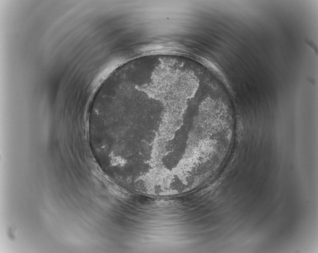 X0000099301419200805301124