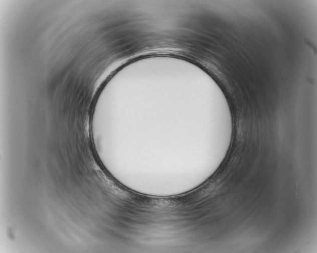 X0000099301420200805301124