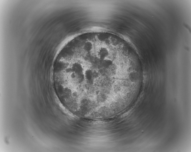 X0000099301421200805301124