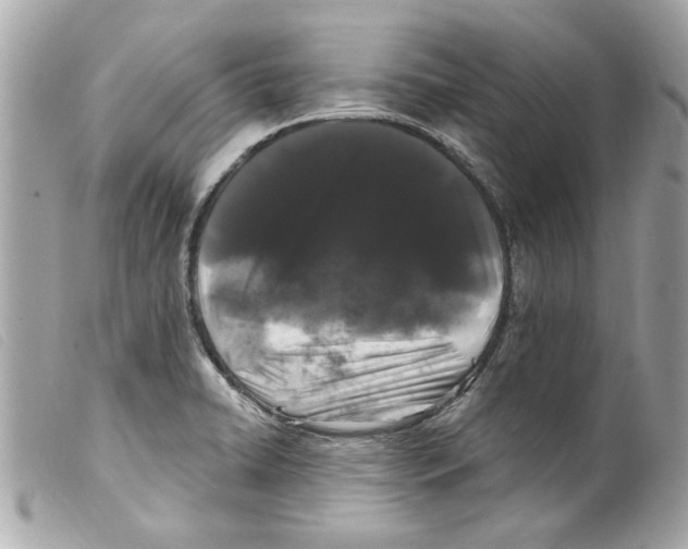 X0000099301422200805301124