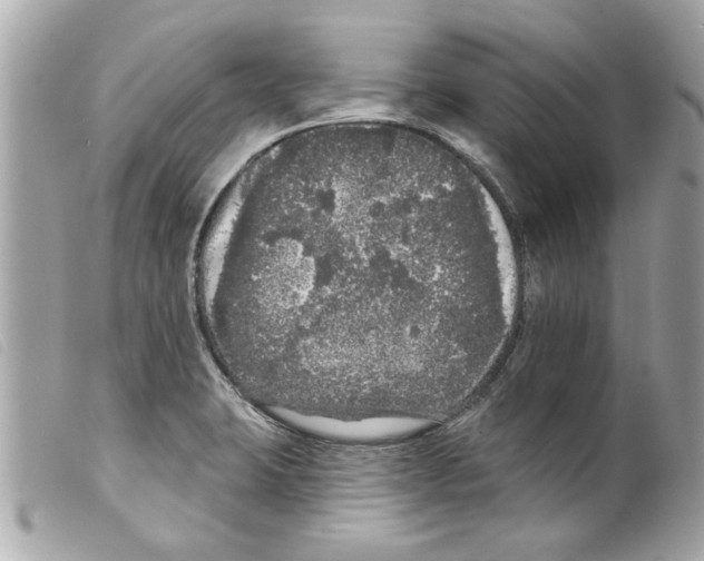 X0000099301423200805301124