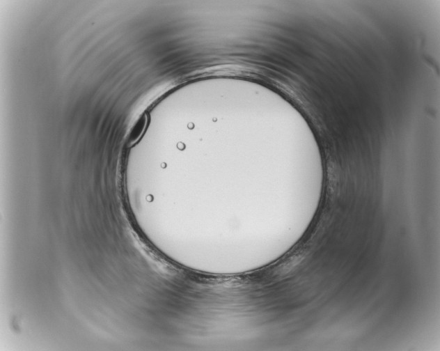 X0000099301426200805301124