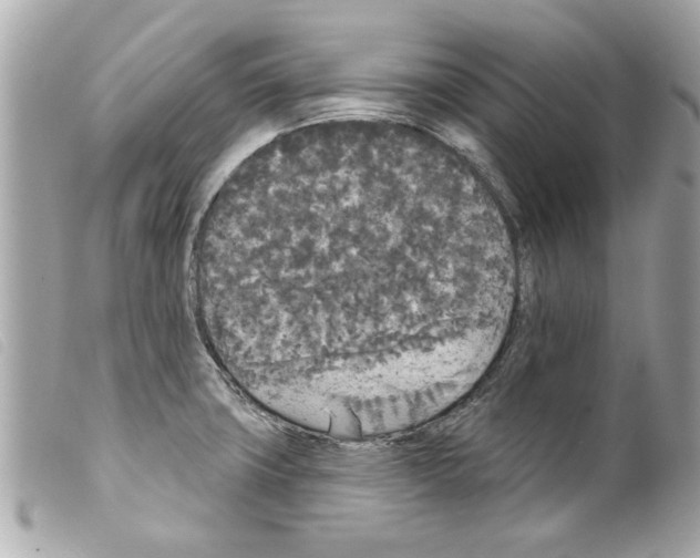 X0000099301427200805301124