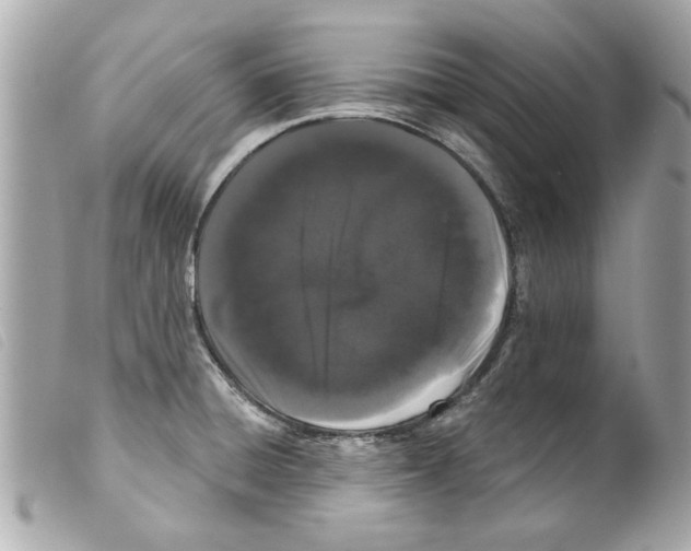 X0000099301428200805301124