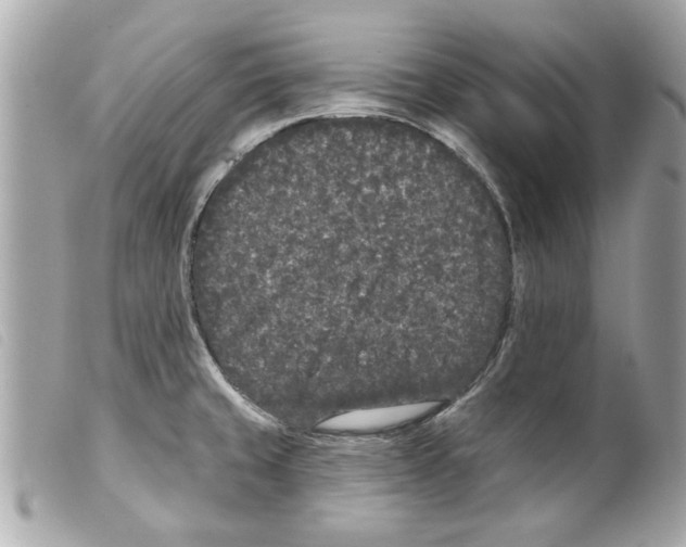 X0000099301429200805301124