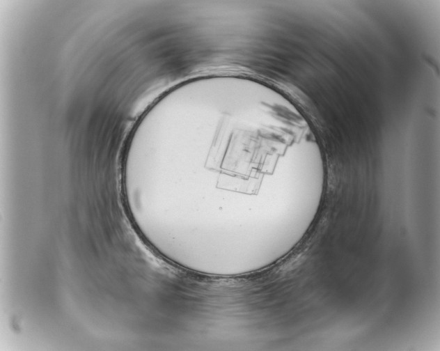 X0000099301430200805301124