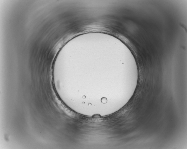 X0000099301431200805301124