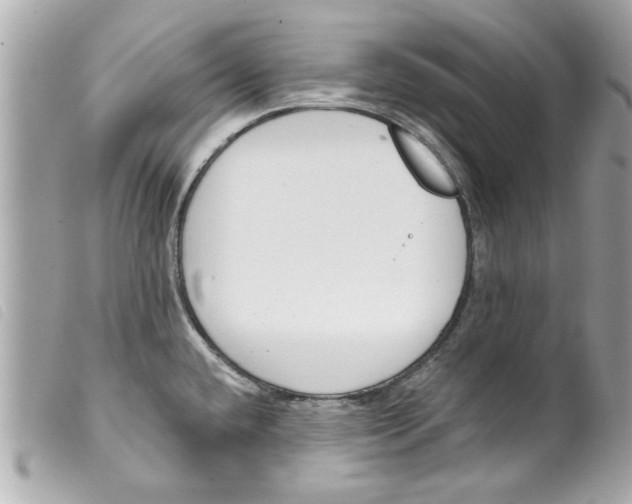 X0000099301432200805301124