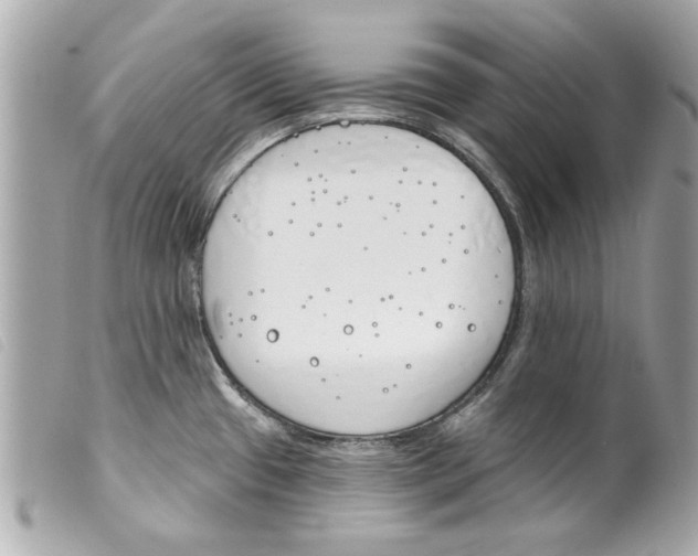 X0000099301433200805301124