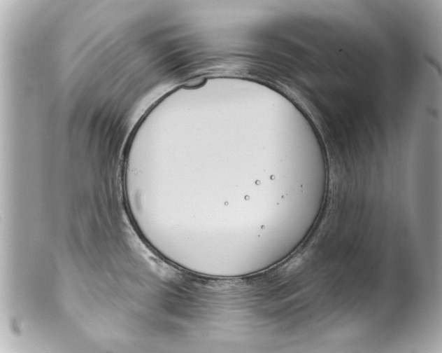 X0000099301434200805301124