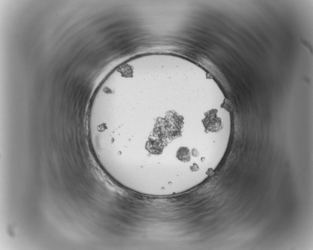 X0000099301436200805301124