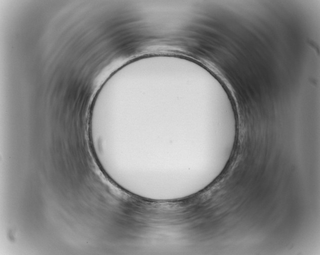 X0000099301437200805301124