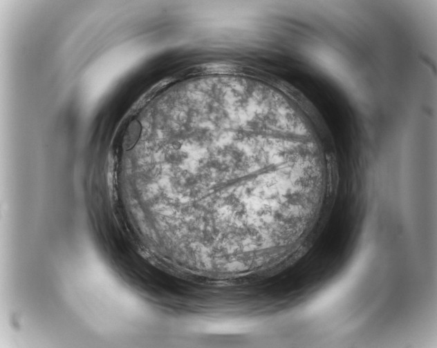 X0000099301438200805301124