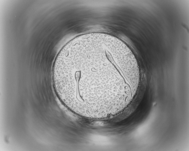 X0000099301439200805301124