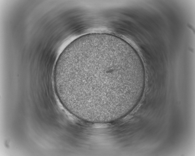 X0000099301440200805301124